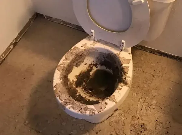 A toilet full of sewage after a backup, with soiled flooring around the base